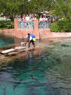 P1010038