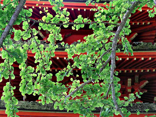 pagoda and tree