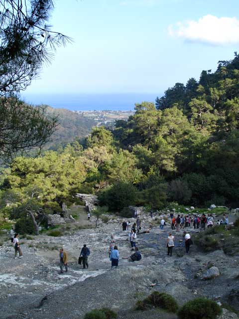 22DSC00767