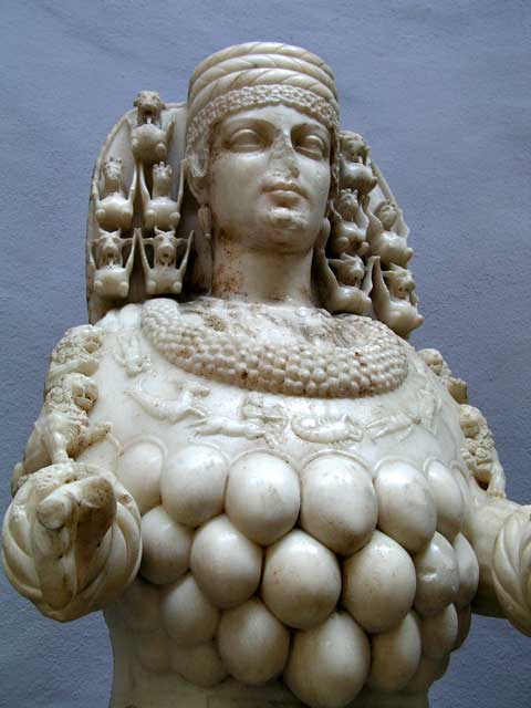 19P1010250