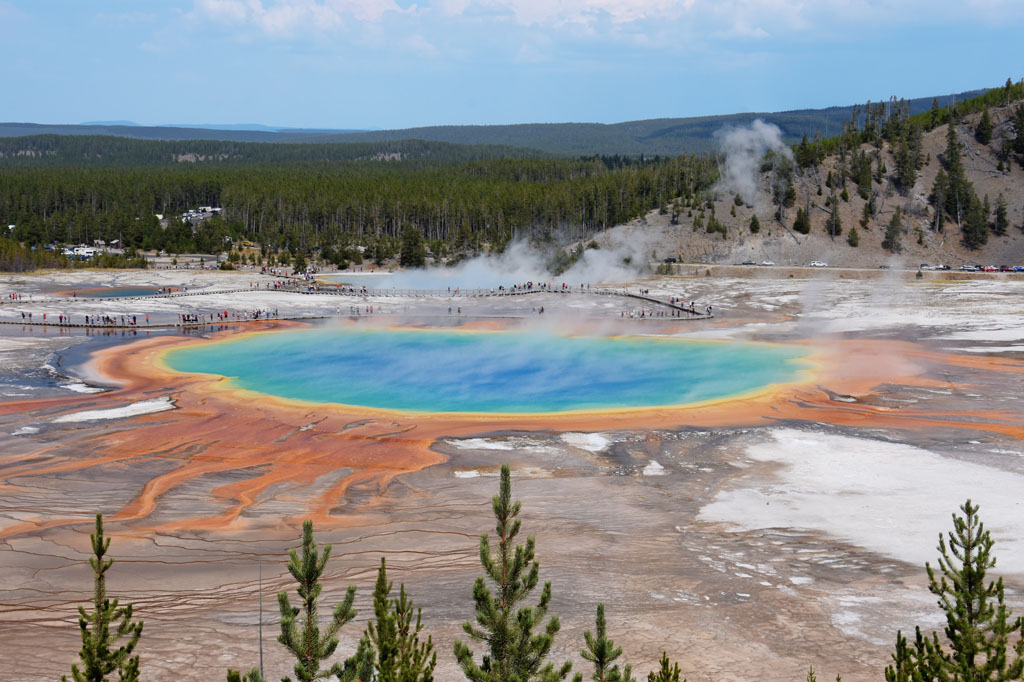 prismatic spring
